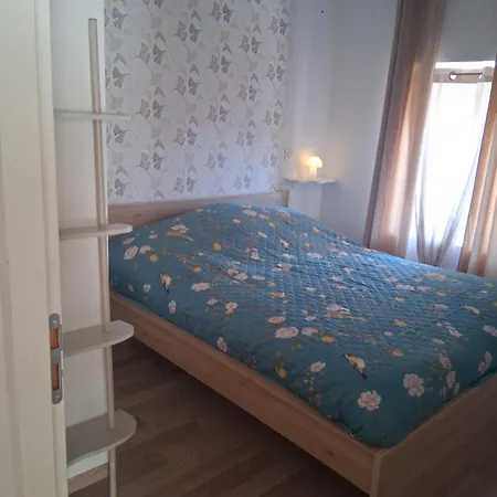 Vidusien Tatil Evi *